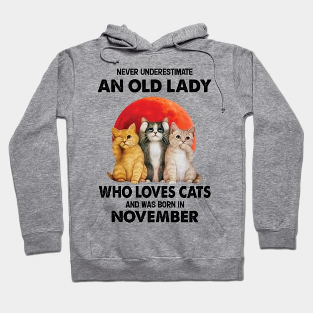 Never Underestimate An Old Lady Who Loves Cats And Was Born In November Hoodie by Bunzaji